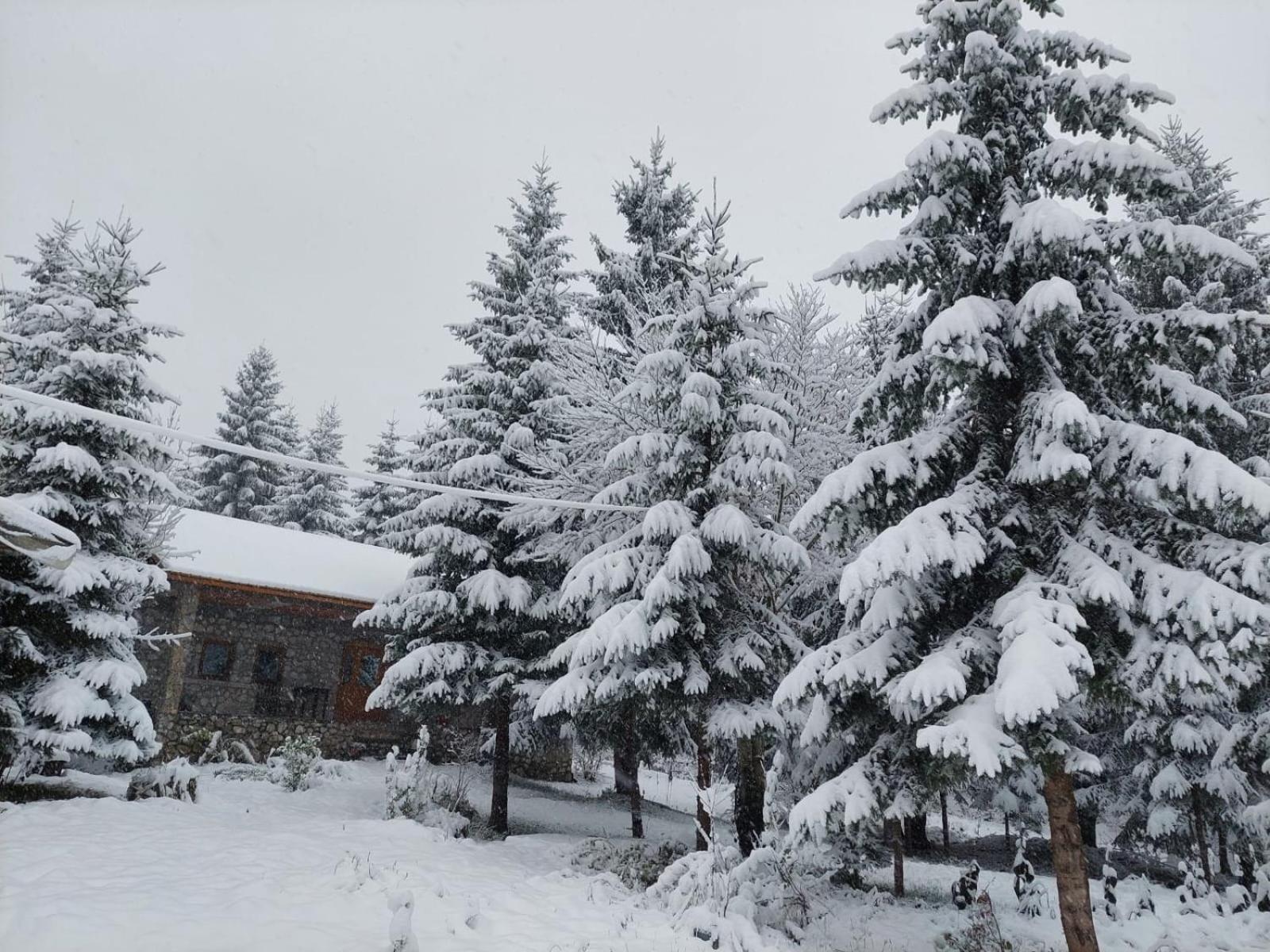 Guest House Hyrmet Demushi Valbone Exterior foto