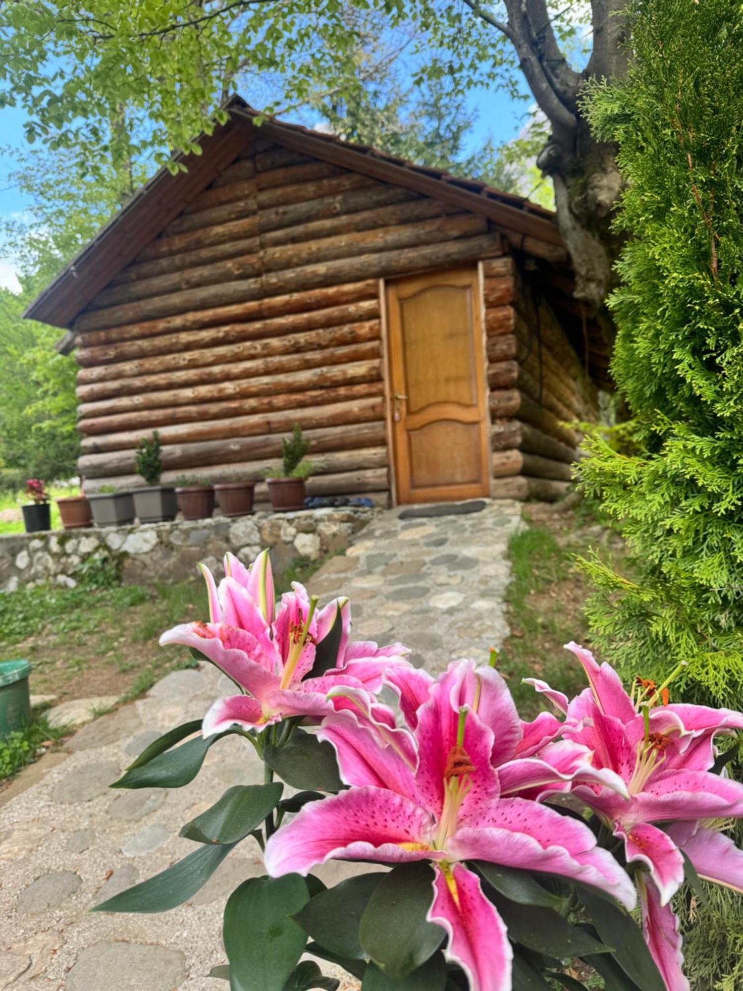 Guest House Hyrmet Demushi Valbone Exterior foto